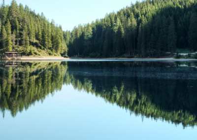 Lac avec une forêt derrière
