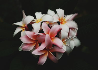 Un bouquet de fleurs