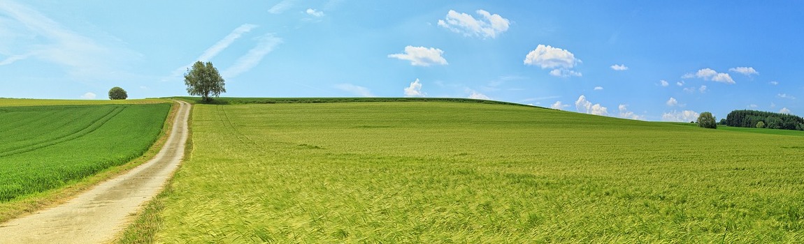 Biodiversité